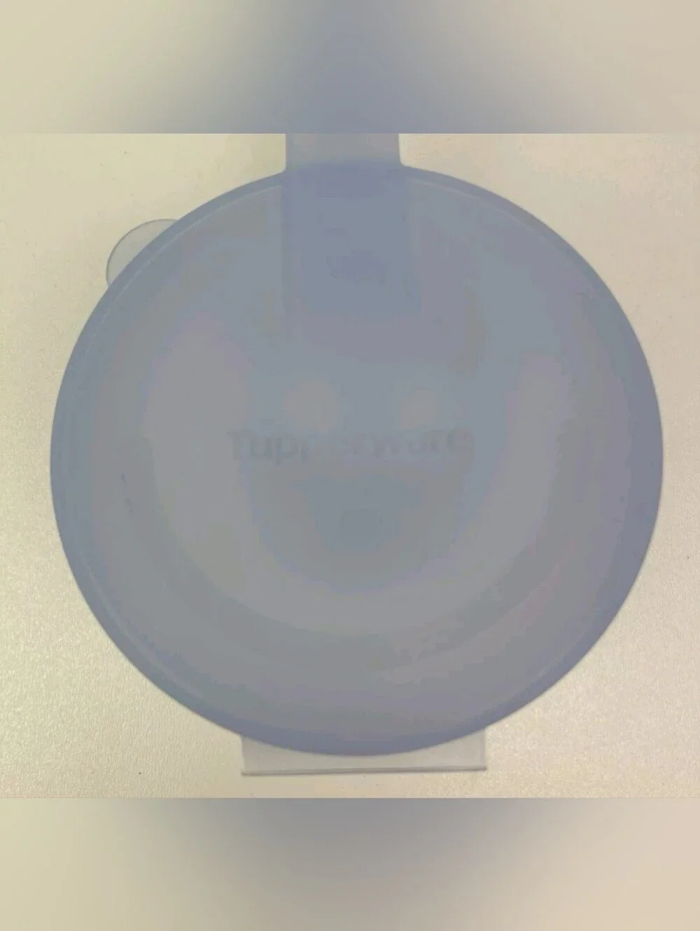 TUPPERWARE Forget-Me-Not Onion Tomato Orange Keeper 5105A-4